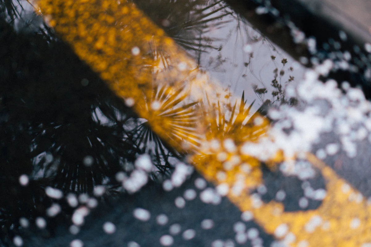 yellow and white abstract painting — The overhead flower drop