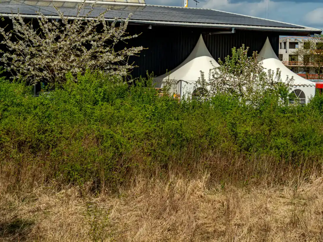 White tents behind overgrown green bushes and dry grass — A weather fallback you have actually walked